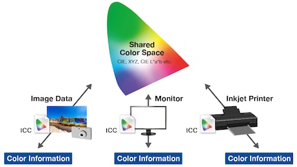 ICC profiles translate the colour information from a colour space into the hardware language and vice versa.