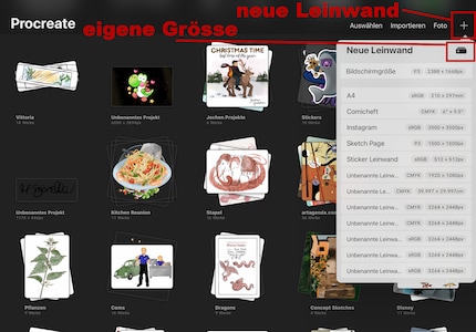 Beim Pluszeichen erstellst du eine neue Leinwand. Klicke wiederum auf das Plus ganz oben in der Liste und du definierst eine eigene Vorlage.