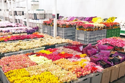 Sag’s mit Blumen: Für den Blumenhandel ist der Muttertag neben dem Valentinstag der umsatzstärkste Tag im Jahr.