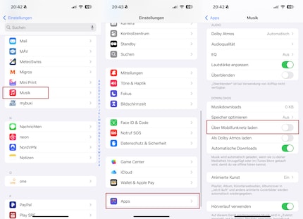 Aktiviere diesen Punkt nur, wenn du eine Datenflatrate hast oder immer im WLAN bist.
