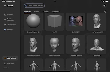 3D-Vorlagen von der Kugel bis zum ganzen Körper.