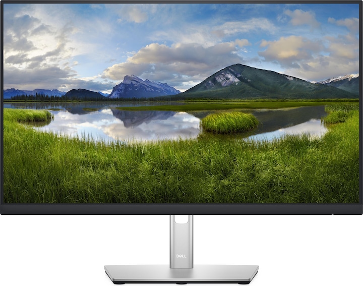 Dell P2422H (1920 x 1080 pixels, 23.80")